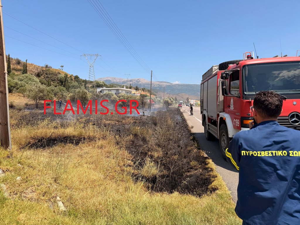 Κινητοποίηση για φωτιά στον Πλατανίτη Ναυπακτίας – φωτο