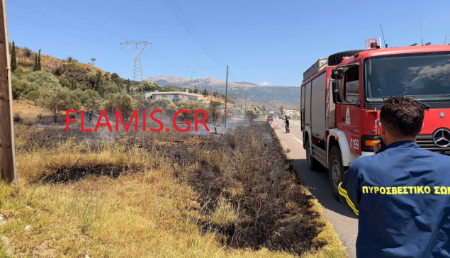 Κινητοποίηση για φωτιά στον Πλατανίτη Ναυπακτίας – φωτο
