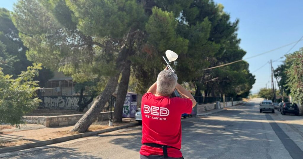 Στο κυνήγι της...κάμπιας για 3η χρονιά - Οικολογικό «μπλόκο» στην πιτυοκάμπη από το δήμο Λουτρακίου