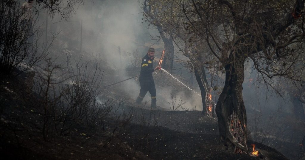 Εφιαλτική νύχτα με αναζωπυρώσεις στο Ρέθυμνο – Τεράστια καταστροφή στο φοινικόδασος στην Πρέβελη