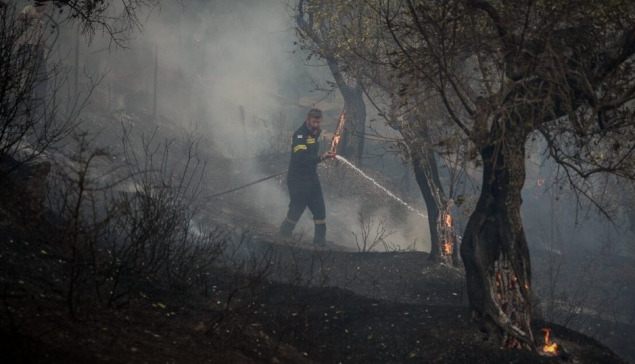 Εφιαλτική νύχτα με αναζωπυρώσεις στο Ρέθυμνο – Τεράστια καταστροφή στο φοινικόδασος στην Πρέβελη