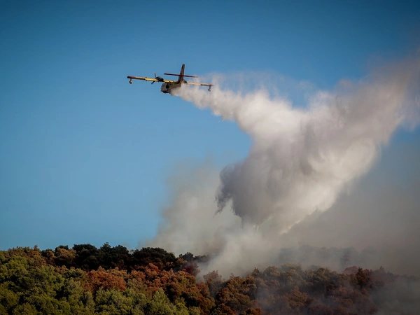 Φωτιά στο Γύθειο: Συνελήφθησαν δύο άτομα για εργασίες με τροχό που προκάλεσε την πυρκαγιά