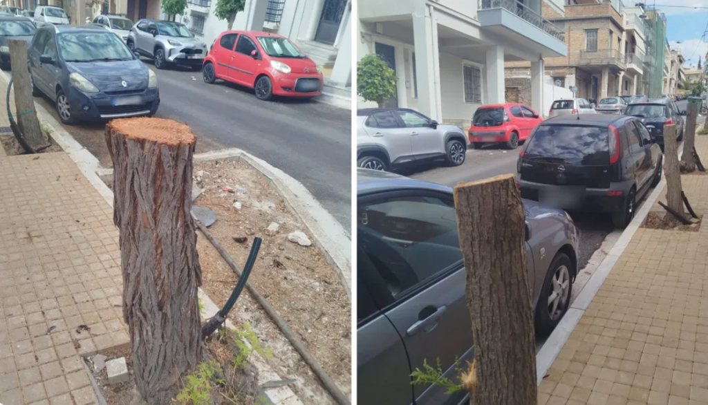 Πάτρα: Χειροπέδες σε καταστηματάρχες για αυθαίρετη κοπή δέντρων και καταστροφή δημοτικής περιουσίας
