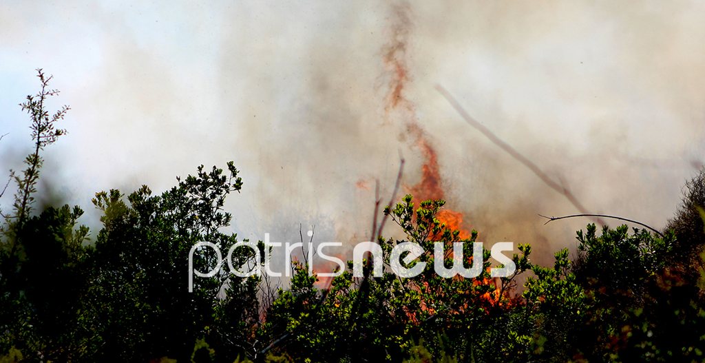Θήβα: Πυρκαγιά σε αγροτοδασική έκταση στην Ξηρονομή – 112 για απομάκρυνση κατοίκων