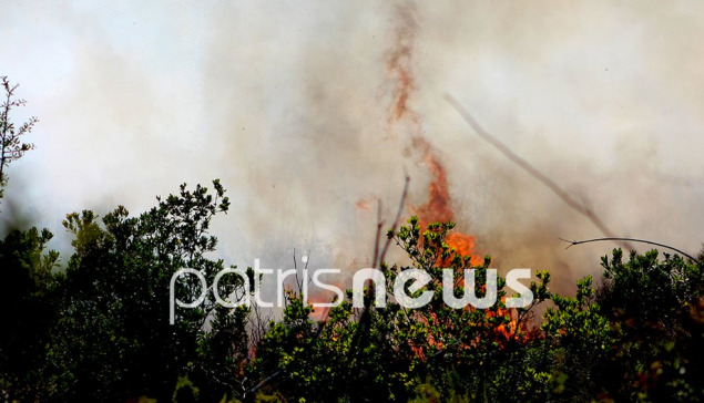 Θήβα: Πυρκαγιά σε αγροτοδασική έκταση στην Ξηρονομή – 112 για απομάκρυνση κατοίκων