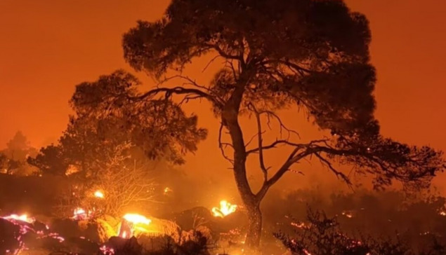 Πύρινη κόλαση στην Αττικοβοιωτία: Στις φλόγες ο Κιθαιρώνας, εκκενώθηκε η Ψάθα, κρίσιμο το μέτωπο στη Βένιζα