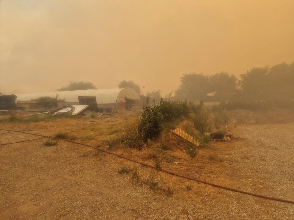 Συνεχίζεται το μεγάλο κύμα έμπρακτης αλληλεγγύης στην Αιγιάλεια