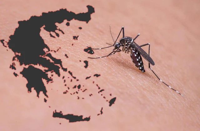 «Χτύπησε» την Πελοπόννησο ο ιός του Δυτικού Νείλου - Κρούσματα στη Λακωνία