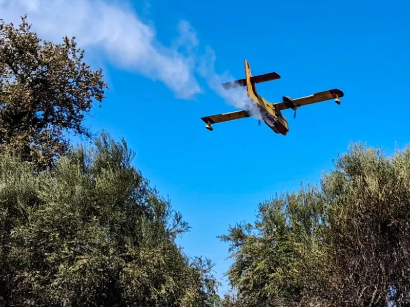 Οριοθετήθηκε η πυρκαγιά στο Τραγανό Ηλείας