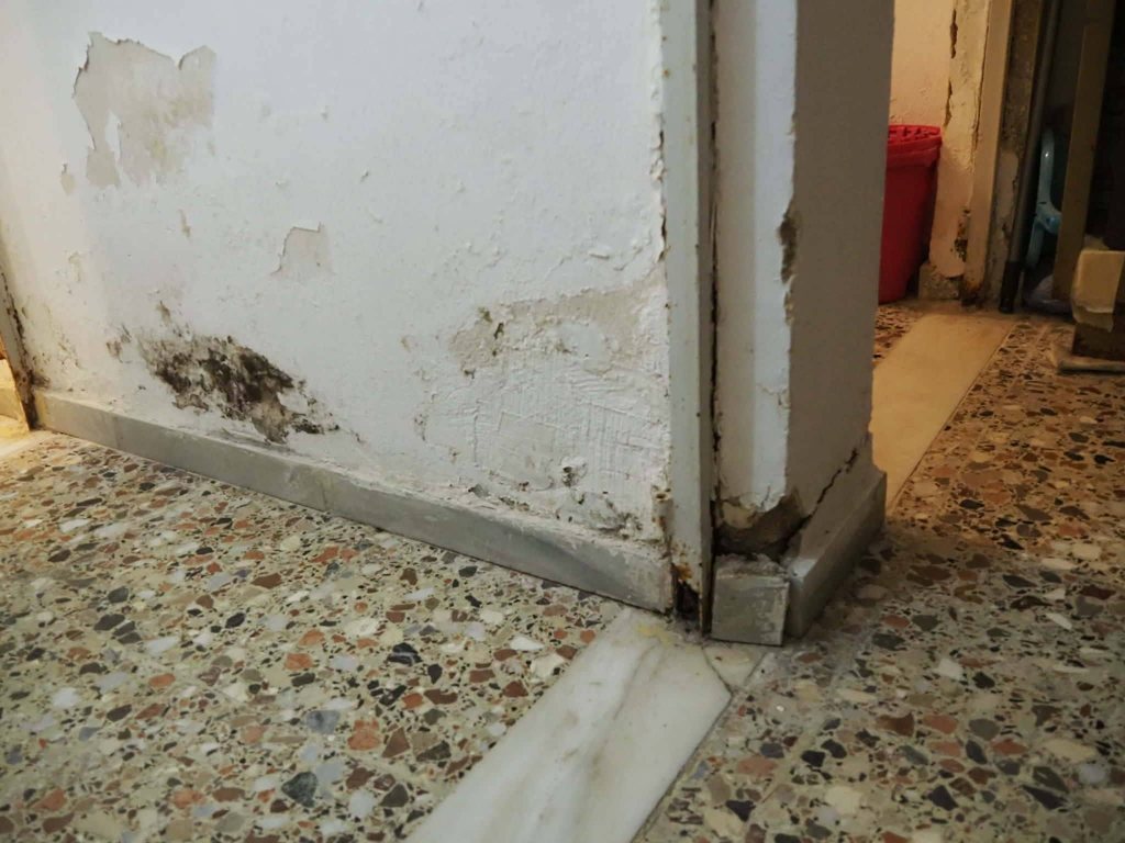 Απίστευτο συμβάν σε σχολείο της Πάτρας: Εκαναν μάθημα… και έτρεχαν κατσαρίδες στα πόδια τους!