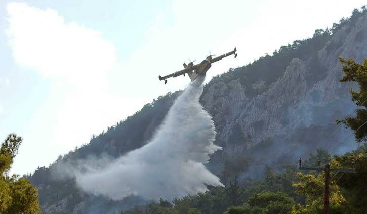 Συναγερμός στη Μηλίτσα Μεσσήνης: Μεγάλη φωτιά σε αγροτοδασική έκταση – Στη «μάχη» ισχυρές επίγειες και εναέριες δυνάμεις
