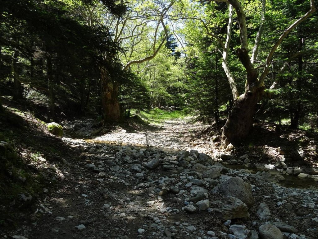 Πάτρα: Έργα για δρόμους και μονοπάτια του Παναχαϊκού στη Δημοτική Επιτροπή